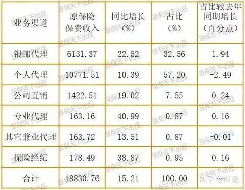 独立经纪人的财富之路，多元化策略与精准执行