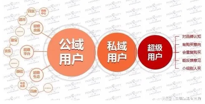 从搭建小红书私域之道寻找赚钱的增财利器——秘密内幕之实战经验揭晓！