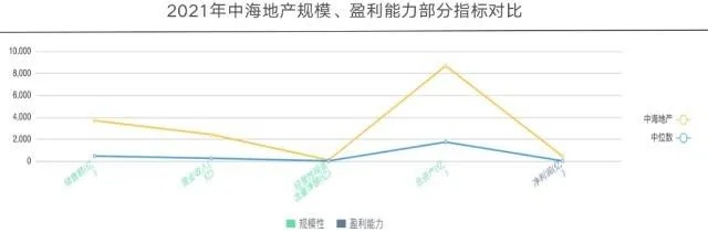 风中的商机，探究何种小旗子最具盈利潜力