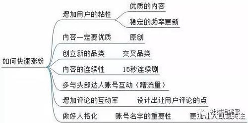 新手做抖音，如何快速实现盈利赚钱