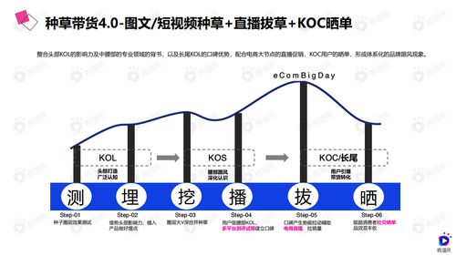 在家经营早市卖货，创业之路与盈利策略