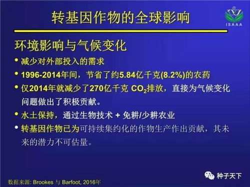 亳州市就业致富路径探析，工作赚钱的机会与挑战