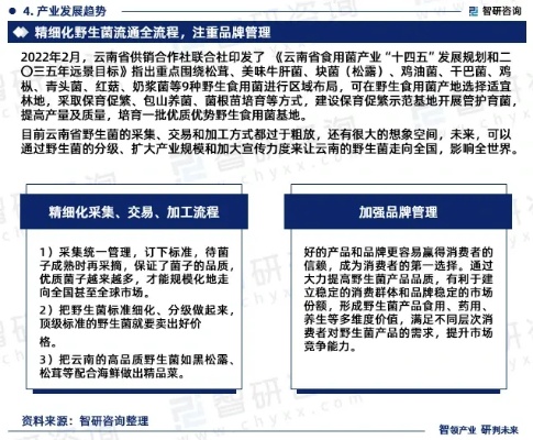 去云南做什么生意赚钱，商机、策略与前景展望