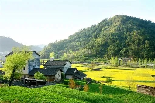 乡野新商机，探索回乡下的赚钱之路