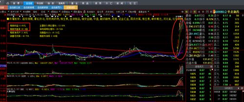 六月农村做什么赚钱最快，机遇与策略分析