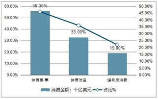 做什么工艺流程最能赚钱，行业分析与前景展望