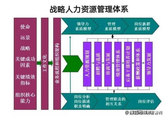 五十岁如何快速赚钱，策略、实践与成功案例