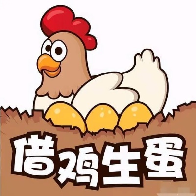 鸡哥做什么生意好赚钱 做鸡生意赚钱吗