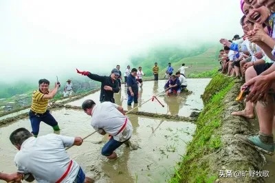 农村做什么运动比较好赚钱 农村适合做的项目