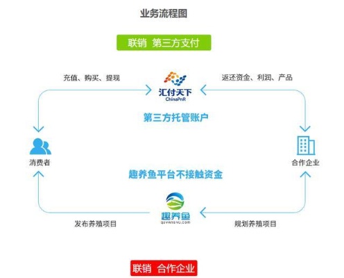 探寻手机任务赚金之门，一种新型的灵活盈利途径