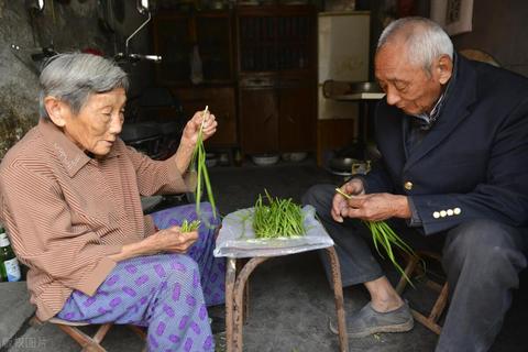 女人从事哪些自由职业赚钱多，职业选择与创业路径探讨