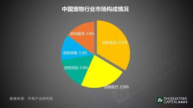 养宠物热门商机，探索宠物产业赚钱之路