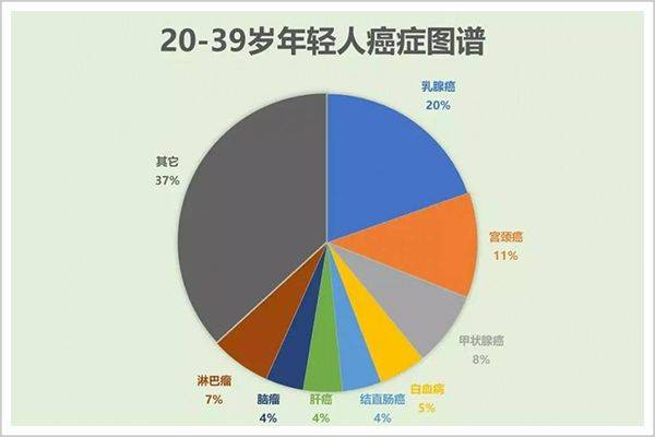 被执行后翻转人生的商机探寻，揭秘十大热门生意路径与财富重生攻略