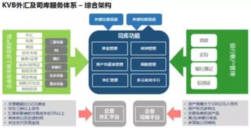 在信丰，探索高收益行业的多元化发展路径