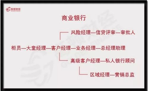 金融学之赚钱蓝海，揭秘高收入职业路径