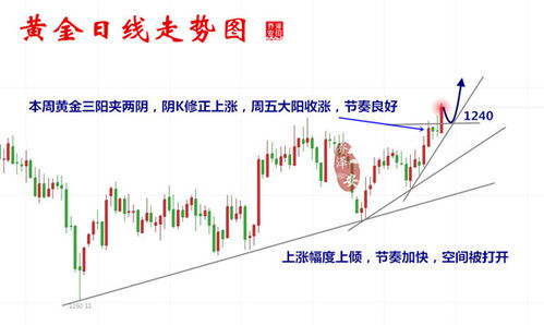 上半夜的商业黄金时刻，发掘潜力市场的多元盈利机遇