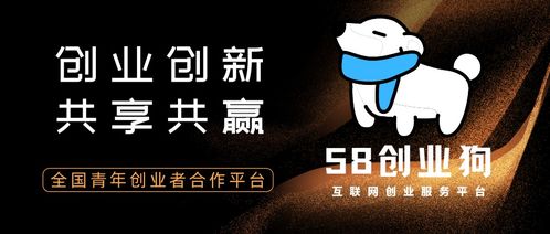 修狗创业致富之路，探索多元化赚钱生意