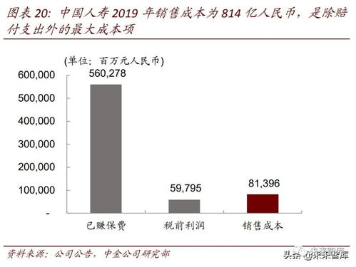 什么品种商品更具市场潜力与盈利空间，深度探索与策略分析