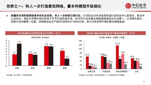 明年事业腾飞，探寻潜力行业与策略布局