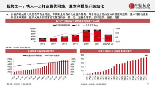 明年事业腾飞，探寻潜力行业与策略布局