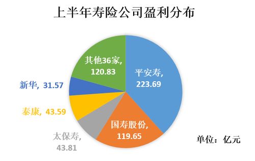 春光无限好，商机盈利多 —— 在春天如何快速赚钱的策略分析