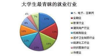 做什么编程行业有前途赚钱快，当下热门技术与未来趋势解析