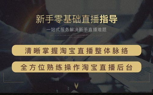 开手工店如何借助直播赚钱，策略、内容与技巧探讨