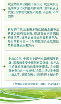 上海人日常生意经营之道，多元策略下的财富积累