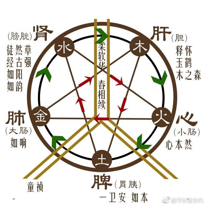 数学专业毕业后的高薪职业前景探索，通往财富的多元路径