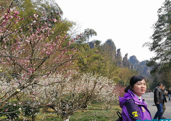 旅游街小吃致富之道，热门美食项目的商机解析与实战策略