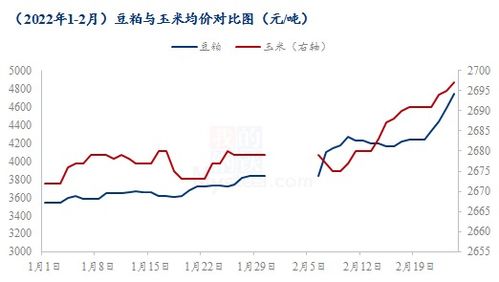 蛋鸡养殖盈利之路，探索多元化经营与创新策略