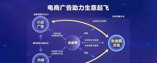 电商自主品牌如何打造核心竞争力以实现赚钱增长，市场趋势与创新策略洞察