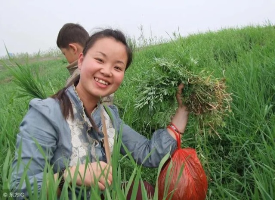 农村女性在家做什么赚钱 女人在农村怎么挣钱