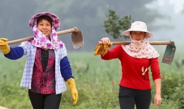 农村女性在家做什么赚钱 女人在农村怎么挣钱