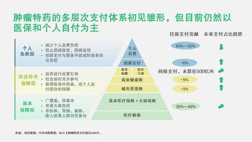 在家乡实现快速盈利的路径探索与策略思考