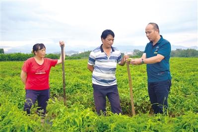 探索德庆县，发掘商机，实现财富增长