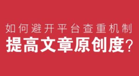 以内容为纲，“做何种账号类型赚钱最快？”的探讨与洞察