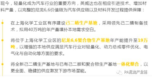 以内容为纲，“做何种账号类型赚钱最快？”的探讨与洞察