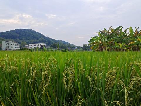 当下最火爆赚钱的工业品行业及其前景展望