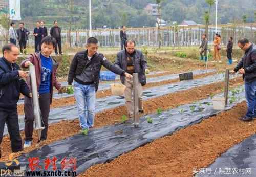 农村今年做什么好项目赚钱 农村今年做什么好项目赚钱呢