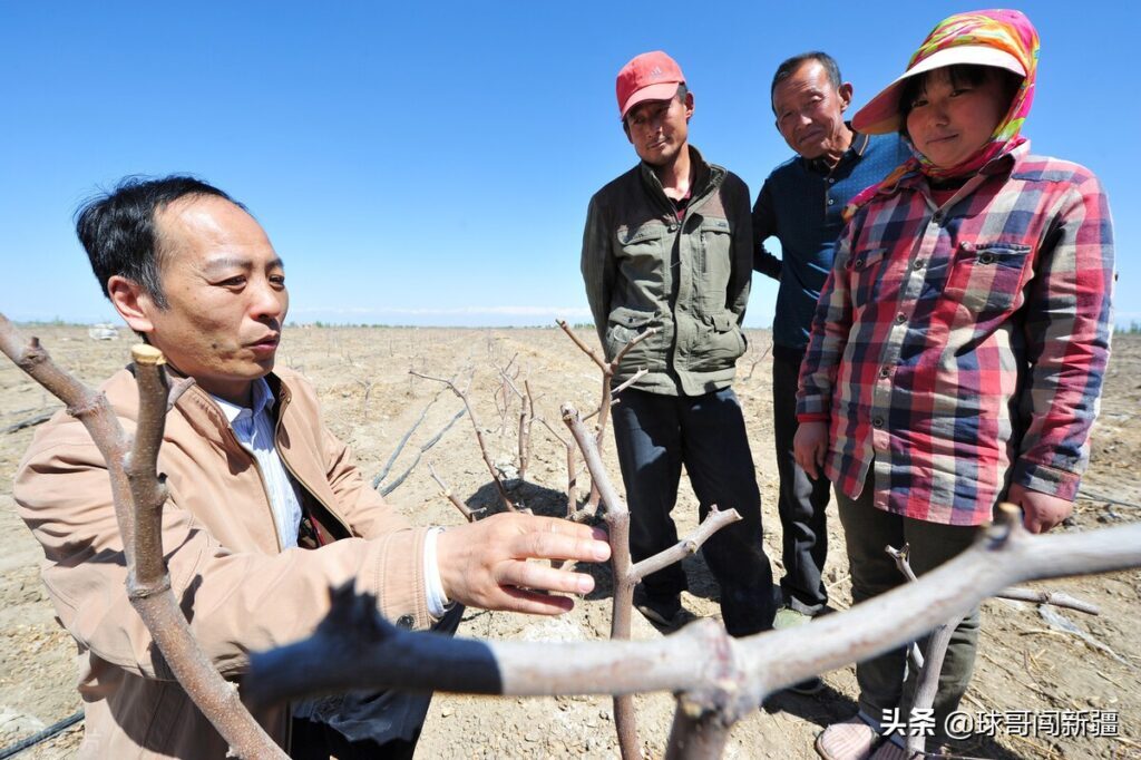 湖南的人在若羌做什么生意赚钱？