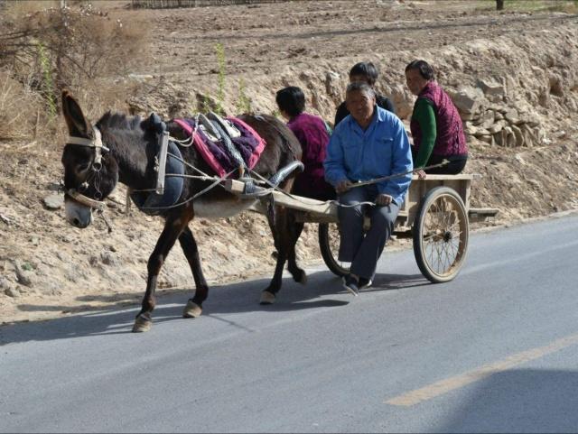 镇里做什么产业好赚钱呢 镇上做什么赚钱