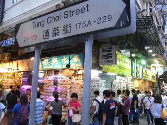 香港实体店赚钱攻略