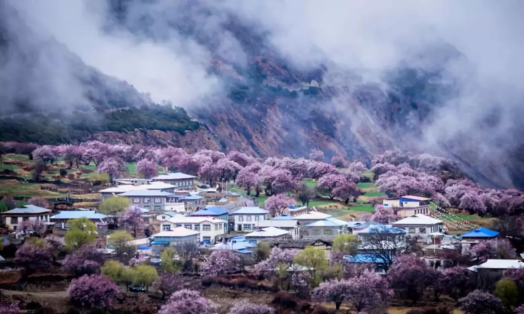 林芝做什么生意赚钱呢知乎