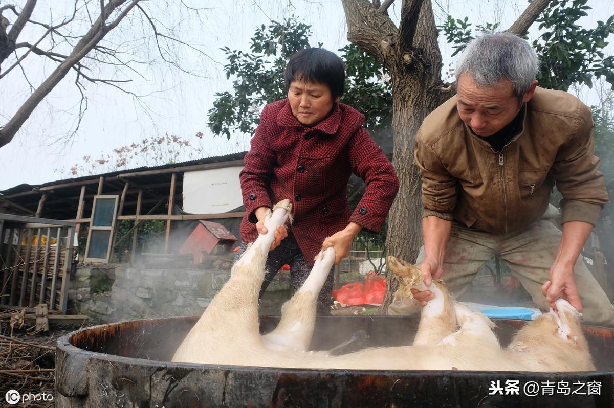 男的能做什么赚钱的事情