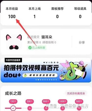 唱吧能做什么赚钱项目呢？