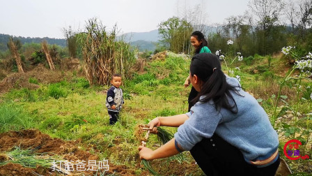 宝妈在田间做什么工作赚钱？