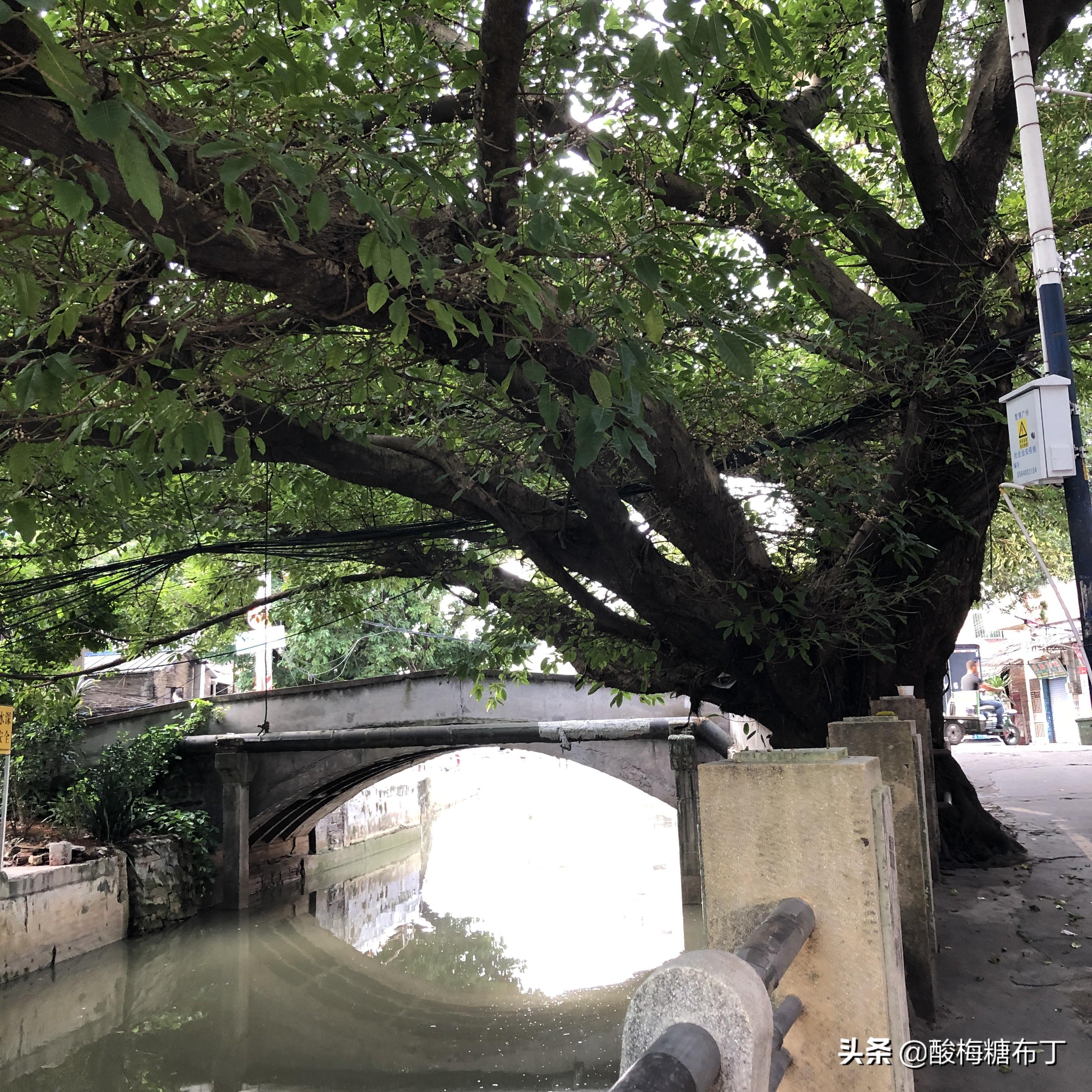 城中村做什么店好赚钱 城中村开什么店比较有市场