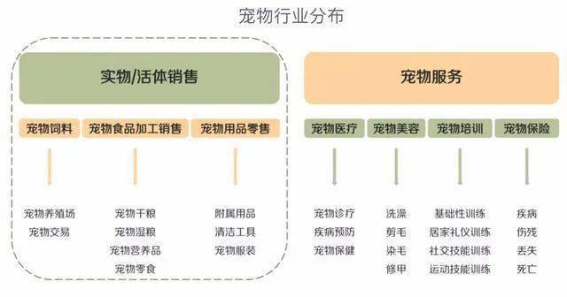 电商做什么宠物赚钱快？