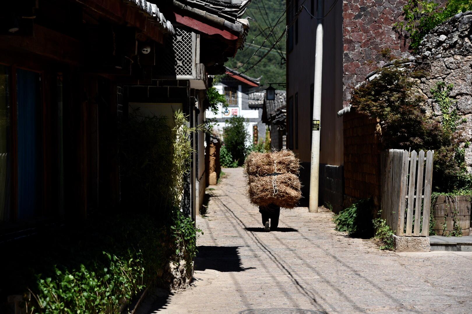 云南旅游旺季能做什么赚钱